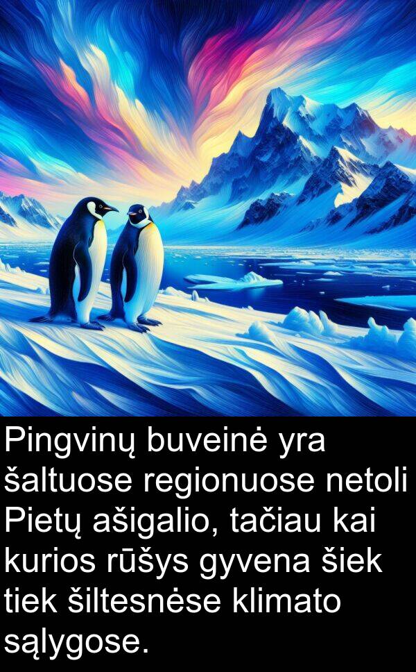 tačiau: Pingvinų buveinė yra šaltuose regionuose netoli Pietų ašigalio, tačiau kai kurios rūšys gyvena šiek tiek šiltesnėse klimato sąlygose.