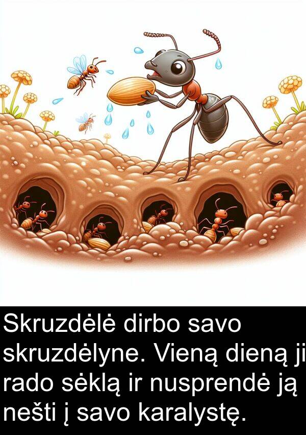 rado: Skruzdėlė dirbo savo skruzdėlyne. Vieną dieną ji rado sėklą ir nusprendė ją nešti į savo karalystę.