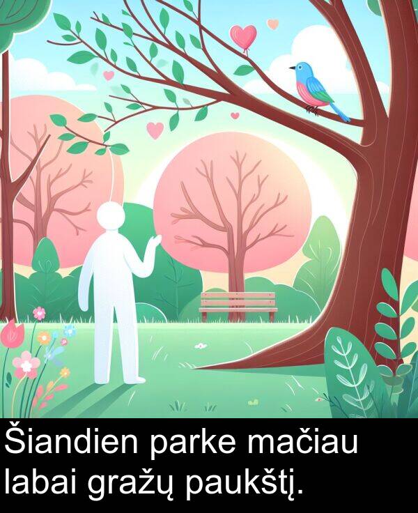 labai: Šiandien parke mačiau labai gražų paukštį.