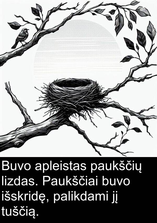 paukščių: Buvo apleistas paukščių lizdas. Paukščiai buvo išskridę, palikdami jį tuščią.