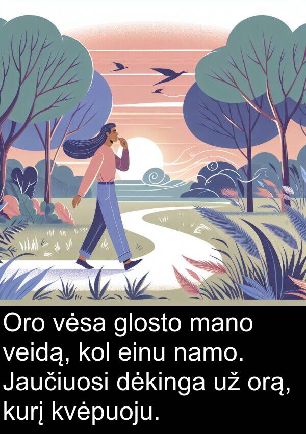 namo: Oro vėsa glosto mano veidą, kol einu namo. Jaučiuosi dėkinga už orą, kurį kvėpuoju.