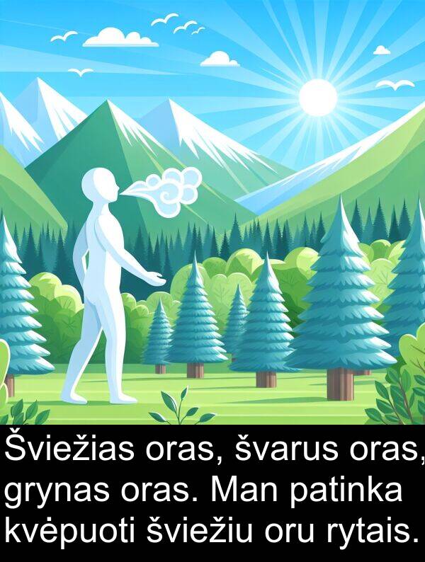 oras: Šviežias oras, švarus oras, grynas oras. Man patinka kvėpuoti šviežiu oru rytais.