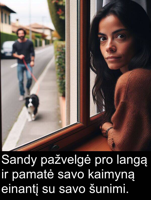 kaimyną: Sandy pažvelgė pro langą ir pamatė savo kaimyną einantį su savo šunimi.