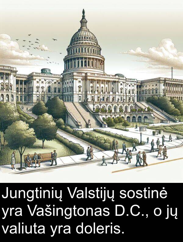 sostinė: Jungtinių Valstijų sostinė yra Vašingtonas D.C., o jų valiuta yra doleris.