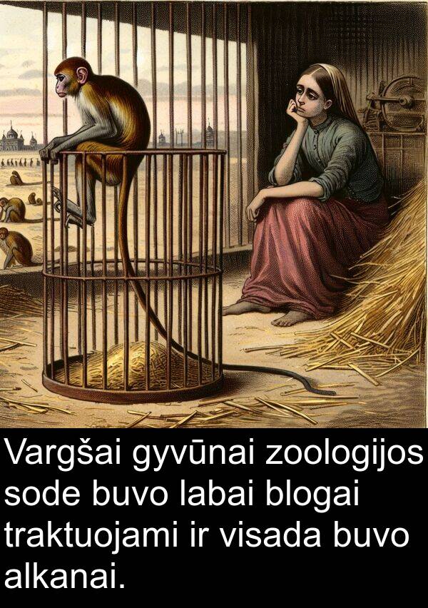 zoologijos: Vargšai gyvūnai zoologijos sode buvo labai blogai traktuojami ir visada buvo alkanai.