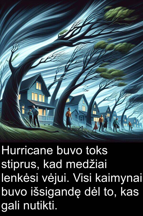 kaimynai: Hurricane buvo toks stiprus, kad medžiai lenkėsi vėjui. Visi kaimynai buvo išsigandę dėl to, kas gali nutikti.