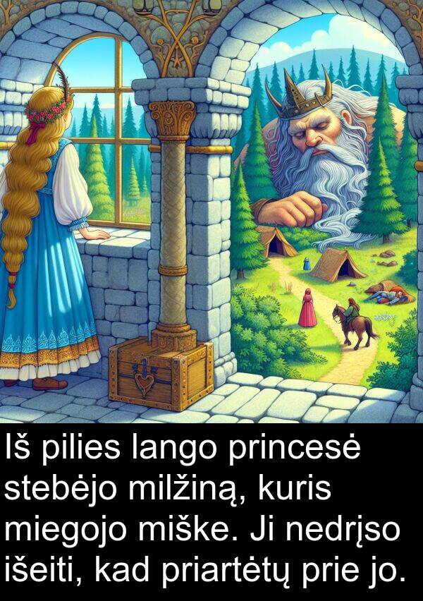 jo: Iš pilies lango princesė stebėjo milžiną, kuris miegojo miške. Ji nedrįso išeiti, kad priartėtų prie jo.