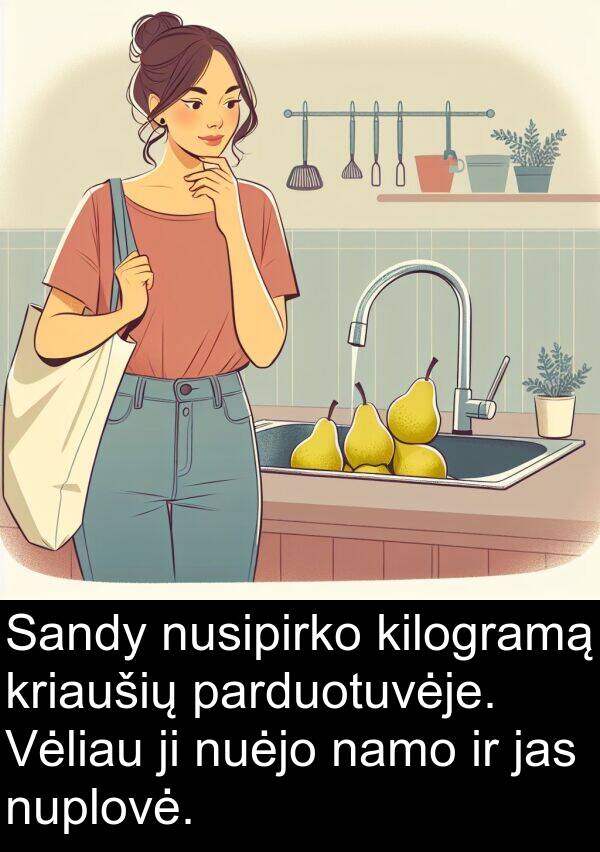 jas: Sandy nusipirko kilogramą kriaušių parduotuvėje. Vėliau ji nuėjo namo ir jas nuplovė.