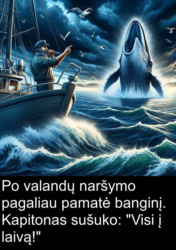 naršymo: Po valandų naršymo pagaliau pamatė banginį. Kapitonas sušuko: "Visi į laivą!"