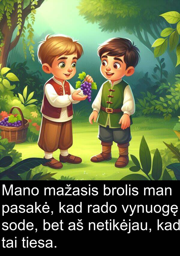 vynuogę: Mano mažasis brolis man pasakė, kad rado vynuogę sode, bet aš netikėjau, kad tai tiesa.