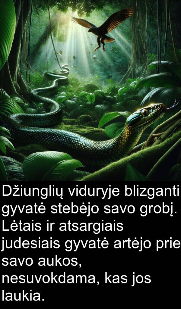 judesiais: Džiunglių viduryje blizganti gyvatė stebėjo savo grobį. Lėtais ir atsargiais judesiais gyvatė artėjo prie savo aukos, nesuvokdama, kas jos laukia.