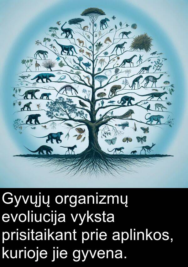 jie: Gyvųjų organizmų evoliucija vyksta prisitaikant prie aplinkos, kurioje jie gyvena.