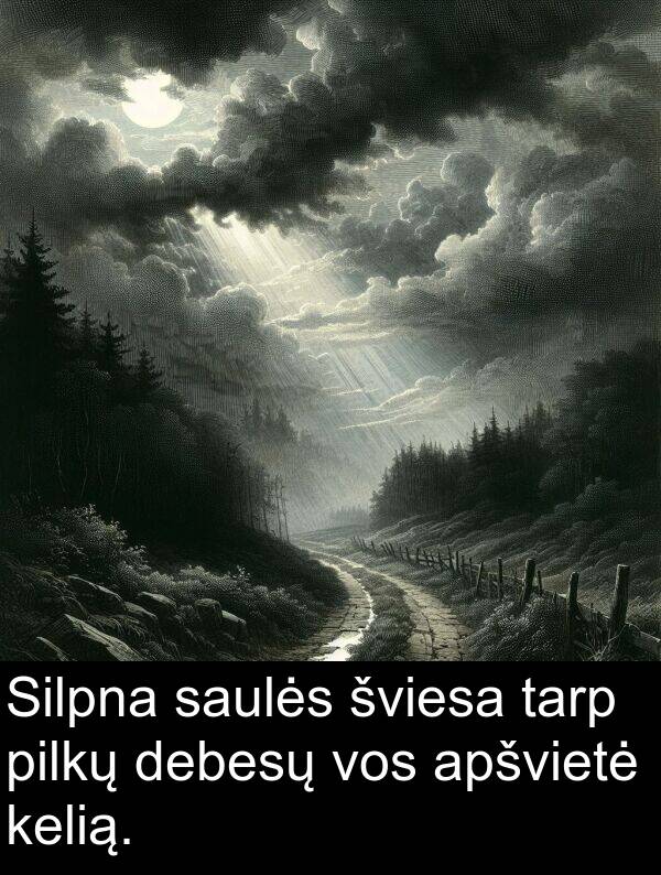 tarp: Silpna saulės šviesa tarp pilkų debesų vos apšvietė kelią.