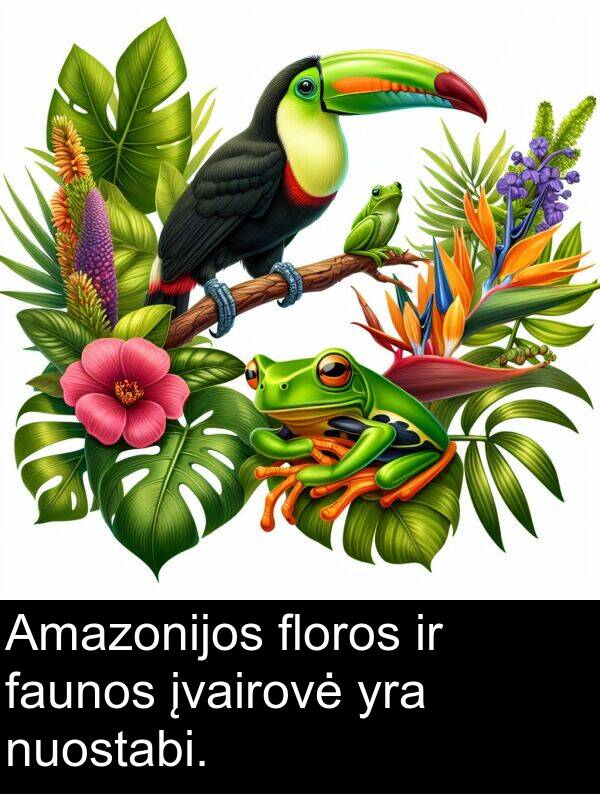 faunos: Amazonijos floros ir faunos įvairovė yra nuostabi.