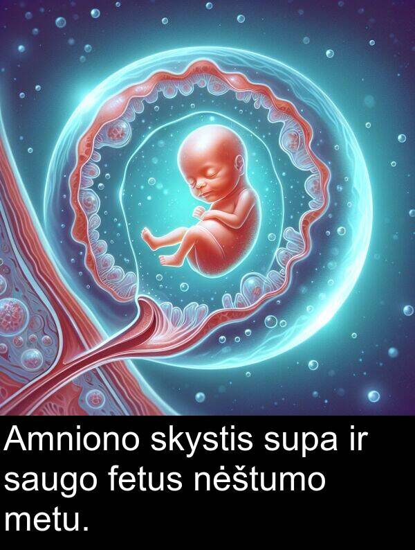 fetus: Amniono skystis supa ir saugo fetus nėštumo metu.