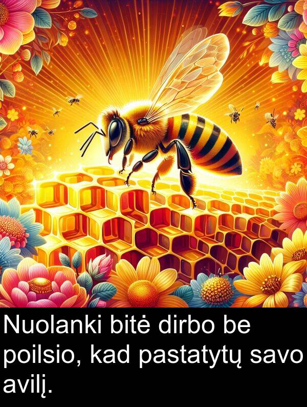 pastatytų: Nuolanki bitė dirbo be poilsio, kad pastatytų savo avilį.