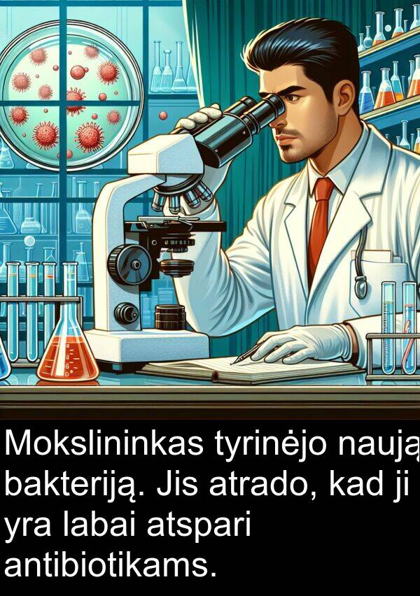 bakteriją: Mokslininkas tyrinėjo naują bakteriją. Jis atrado, kad ji yra labai atspari antibiotikams.