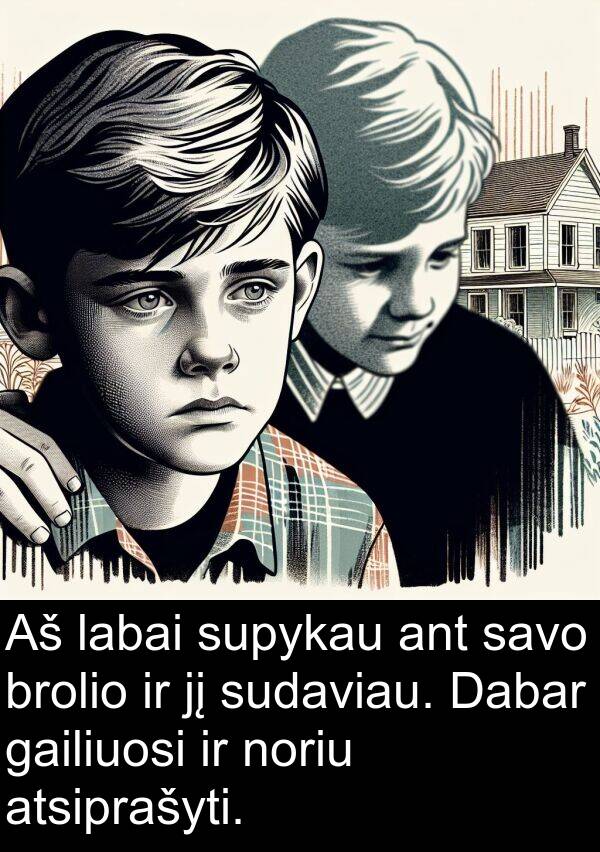 gailiuosi: Aš labai supykau ant savo brolio ir jį sudaviau. Dabar gailiuosi ir noriu atsiprašyti.