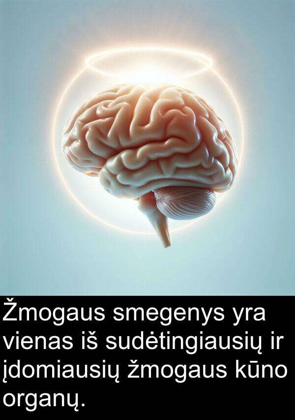 įdomiausių: Žmogaus smegenys yra vienas iš sudėtingiausių ir įdomiausių žmogaus kūno organų.