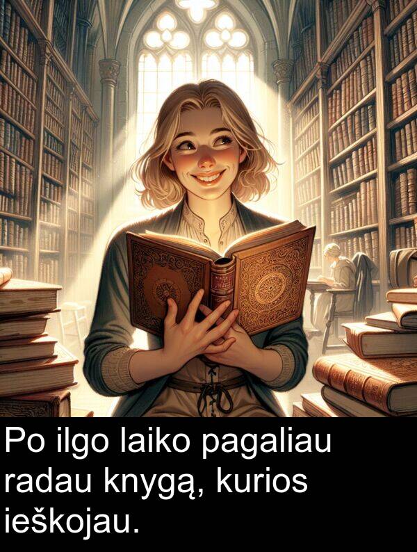 radau: Po ilgo laiko pagaliau radau knygą, kurios ieškojau.