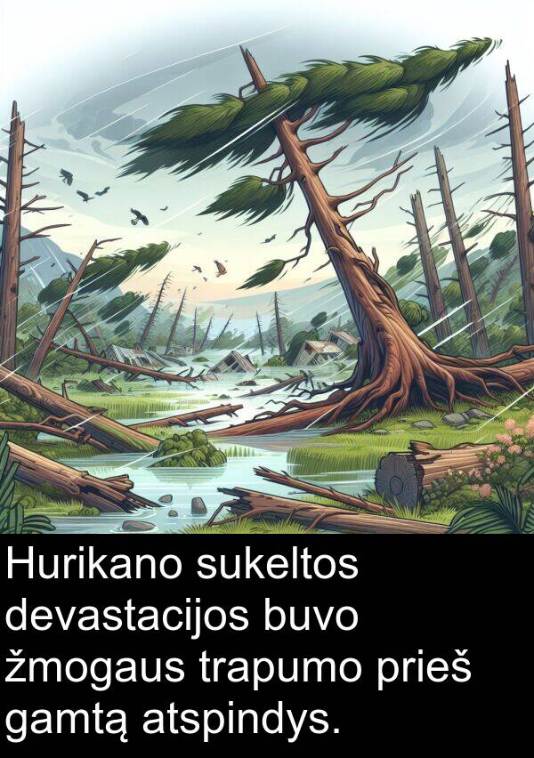 gamtą: Hurikano sukeltos devastacijos buvo žmogaus trapumo prieš gamtą atspindys.