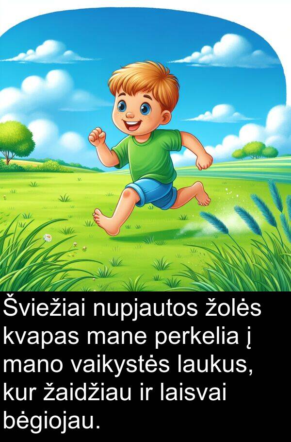 žaidžiau: Šviežiai nupjautos žolės kvapas mane perkelia į mano vaikystės laukus, kur žaidžiau ir laisvai bėgiojau.