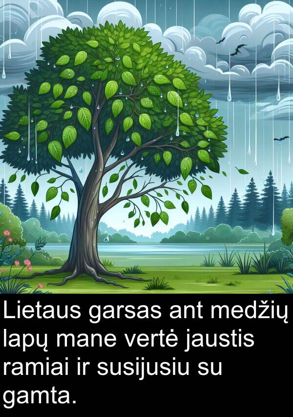 garsas: Lietaus garsas ant medžių lapų mane vertė jaustis ramiai ir susijusiu su gamta.