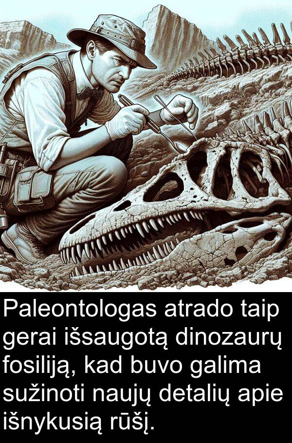 galima: Paleontologas atrado taip gerai išsaugotą dinozaurų fosiliją, kad buvo galima sužinoti naujų detalių apie išnykusią rūšį.