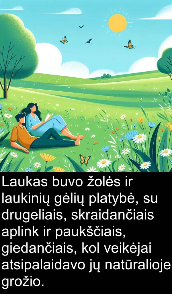 natūralioje: Laukas buvo žolės ir laukinių gėlių platybė, su drugeliais, skraidančiais aplink ir paukščiais, giedančiais, kol veikėjai atsipalaidavo jų natūralioje grožio.