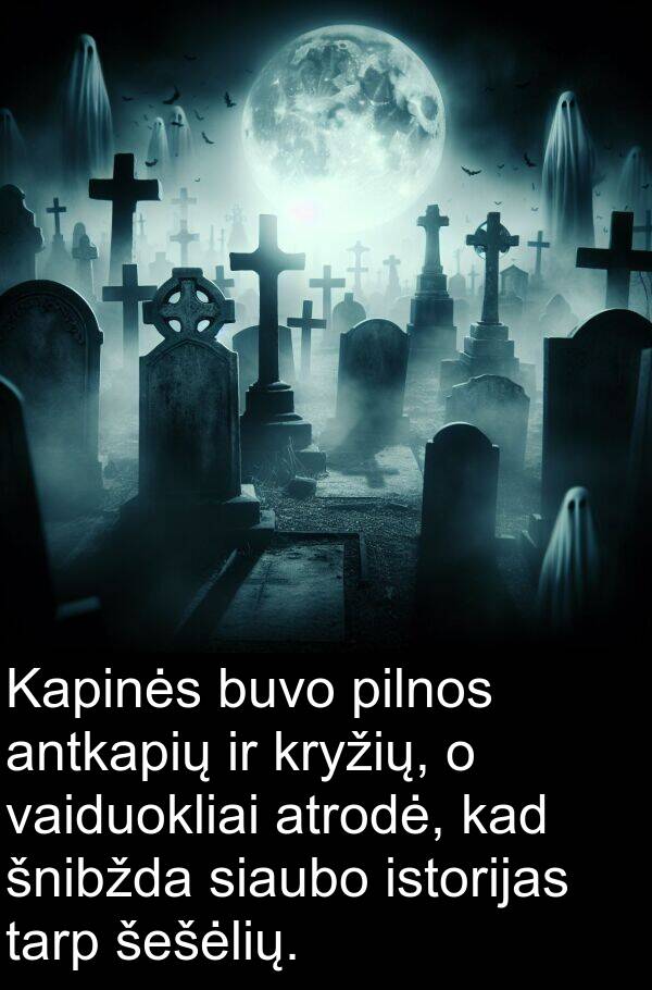 šešėlių: Kapinės buvo pilnos antkapių ir kryžių, o vaiduokliai atrodė, kad šnibžda siaubo istorijas tarp šešėlių.