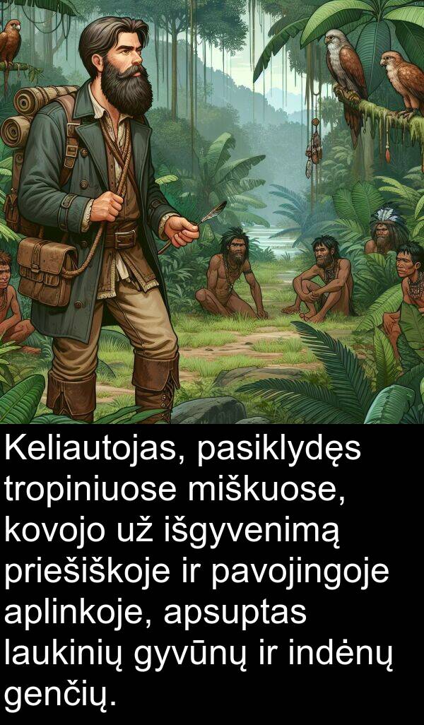 pasiklydęs: Keliautojas, pasiklydęs tropiniuose miškuose, kovojo už išgyvenimą priešiškoje ir pavojingoje aplinkoje, apsuptas laukinių gyvūnų ir indėnų genčių.