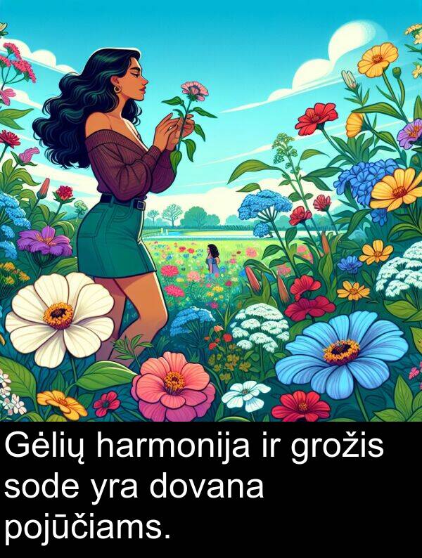 harmonija: Gėlių harmonija ir grožis sode yra dovana pojūčiams.