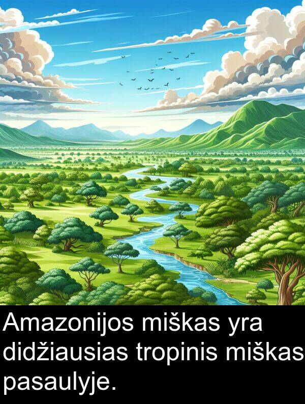 pasaulyje: Amazonijos miškas yra didžiausias tropinis miškas pasaulyje.