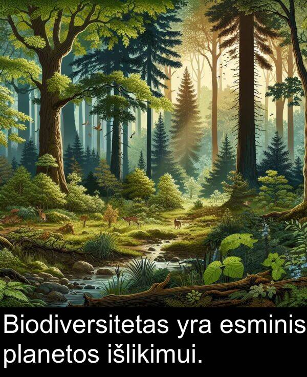 planetos: Biodiversitetas yra esminis planetos išlikimui.