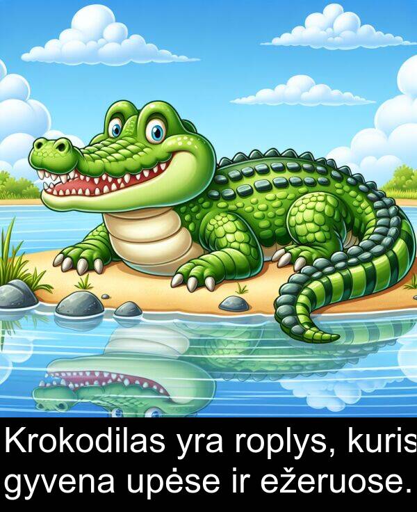 upėse: Krokodilas yra roplys, kuris gyvena upėse ir ežeruose.