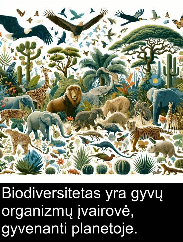 organizmų: Biodiversitetas yra gyvų organizmų įvairovė, gyvenanti planetoje.