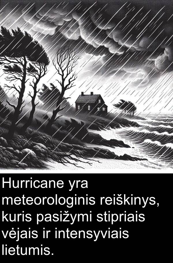 lietumis: Hurricane yra meteorologinis reiškinys, kuris pasižymi stipriais vėjais ir intensyviais lietumis.