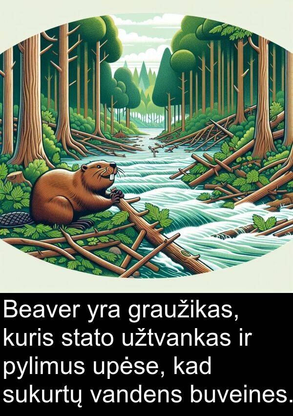 upėse: Beaver yra graužikas, kuris stato užtvankas ir pylimus upėse, kad sukurtų vandens buveines.