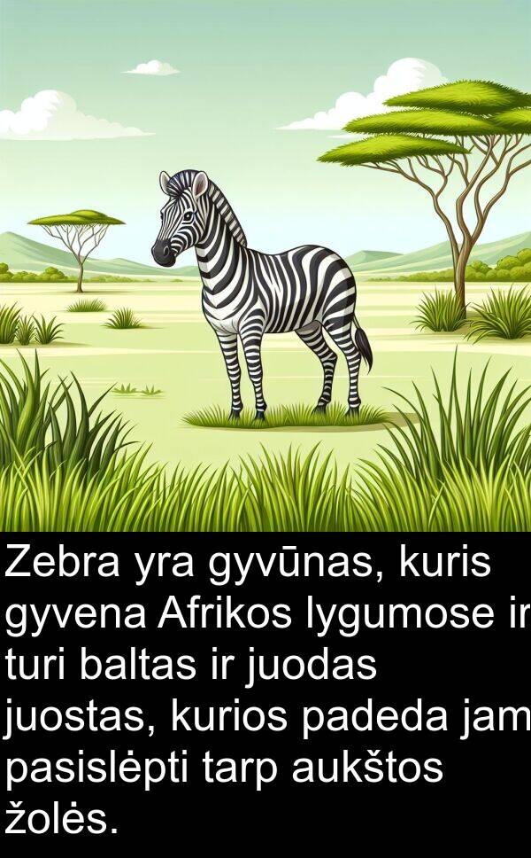 jam: Zebra yra gyvūnas, kuris gyvena Afrikos lygumose ir turi baltas ir juodas juostas, kurios padeda jam pasislėpti tarp aukštos žolės.