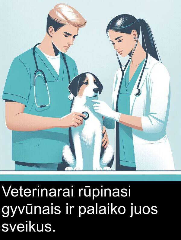 juos: Veterinarai rūpinasi gyvūnais ir palaiko juos sveikus.