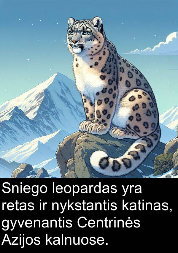 kalnuose: Sniego leopardas yra retas ir nykstantis katinas, gyvenantis Centrinės Azijos kalnuose.