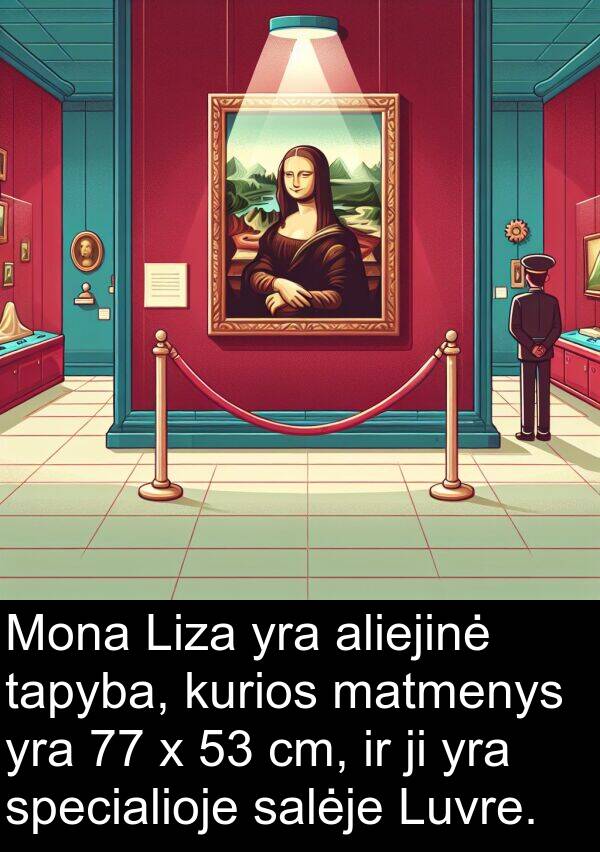 cm: Mona Liza yra aliejinė tapyba, kurios matmenys yra 77 x 53 cm, ir ji yra specialioje salėje Luvre.