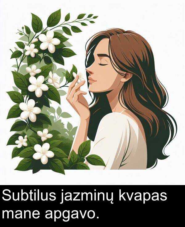 jazminų: Subtilus jazminų kvapas mane apgavo.