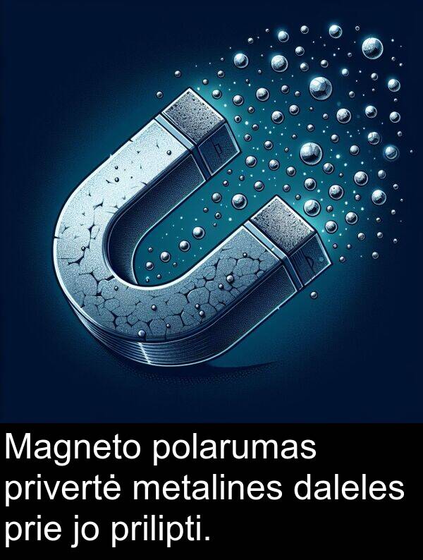 daleles: Magneto polarumas privertė metalines daleles prie jo prilipti.