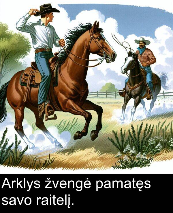 savo: Arklys žvengė pamatęs savo raitelį.