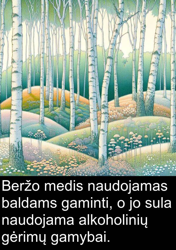 naudojama: Beržo medis naudojamas baldams gaminti, o jo sula naudojama alkoholinių gėrimų gamybai.