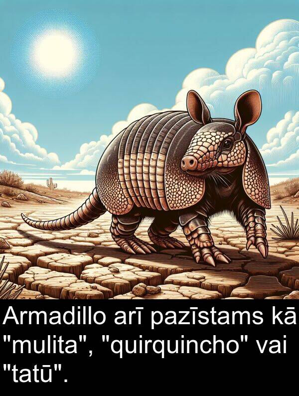 vai: Armadillo arī pazīstams kā "mulita", "quirquincho" vai "tatū".