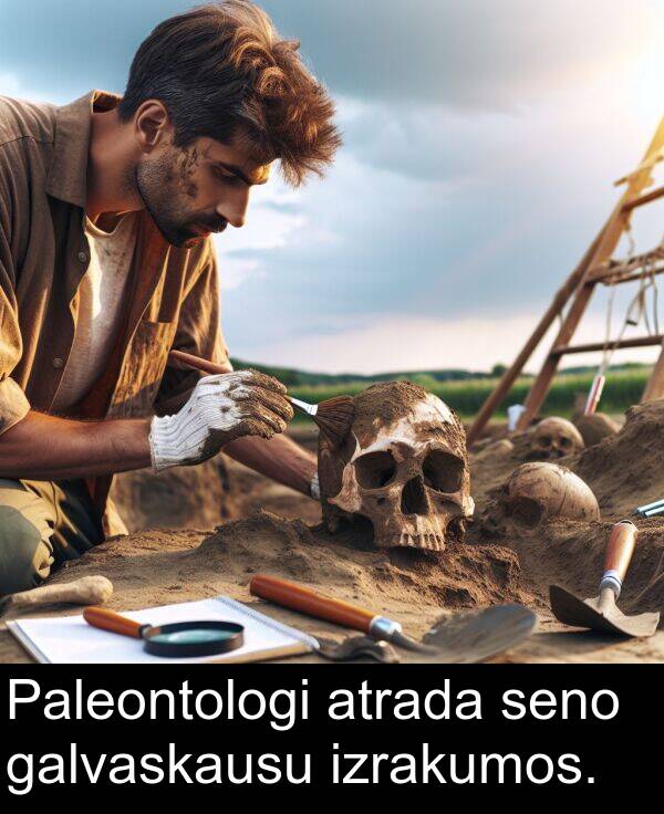 galvaskausu: Paleontologi atrada seno galvaskausu izrakumos.