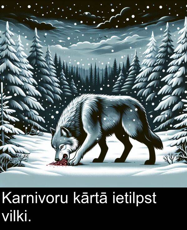 kārtā: Karnivoru kārtā ietilpst vilki.