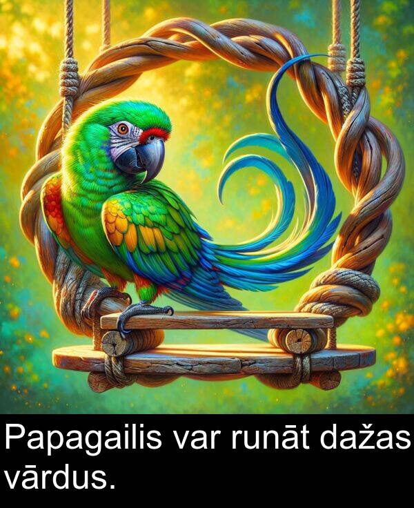 vārdus: Papagailis var runāt dažas vārdus.